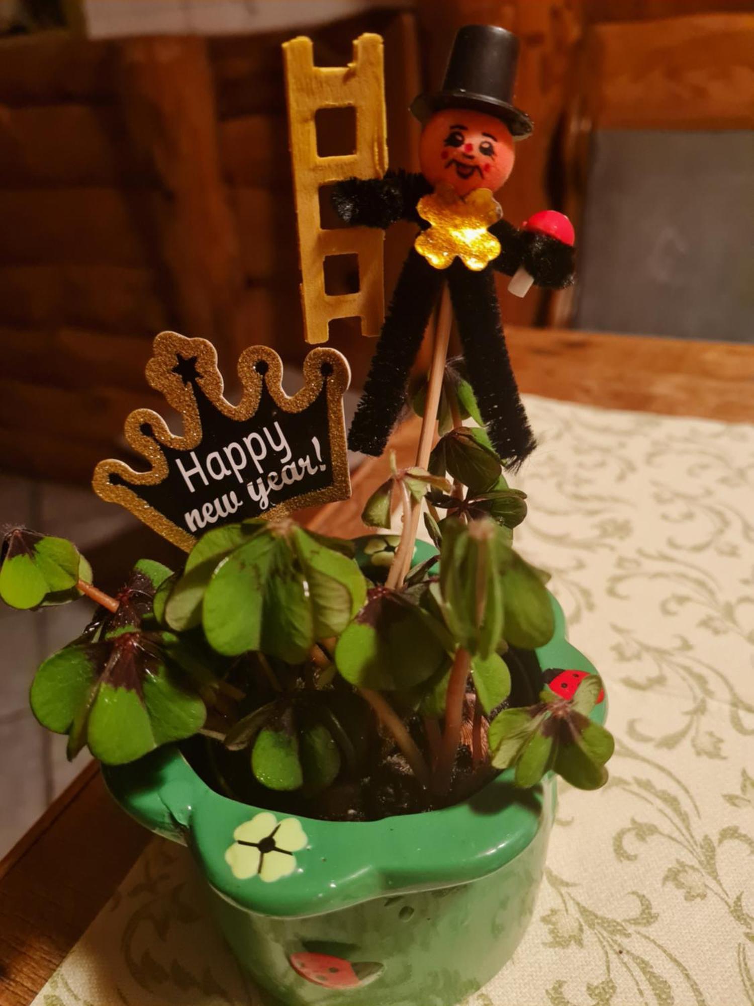 Pension Und Gaststaette Zur Knappenschaenke Thermalbad Wiesenbad エクステリア 写真